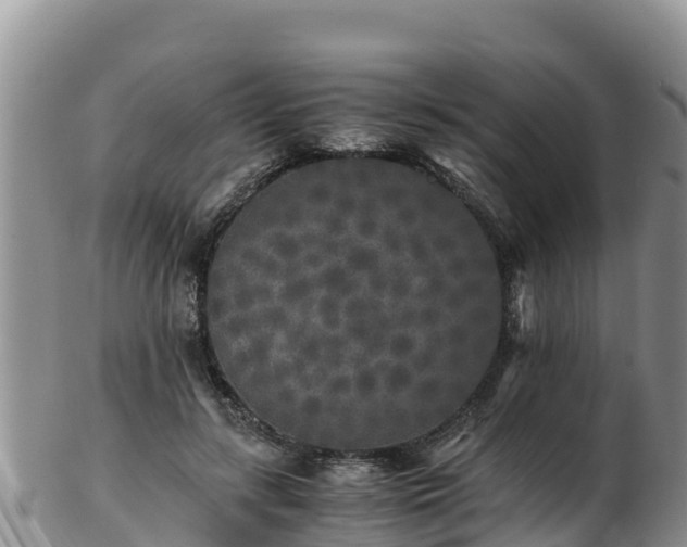 X0000103310547200809051547