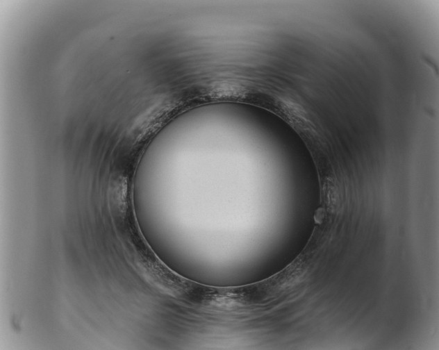 X0000103310550200809051547