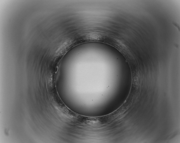 X0000103310552200809051547