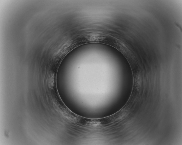 X0000103310554200809051547