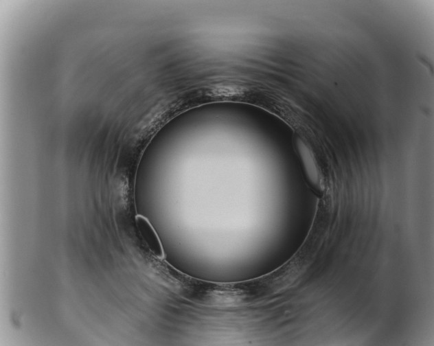 X0000103310556200809051547