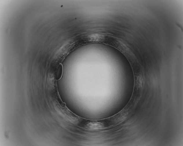 X0000103310557200809051547