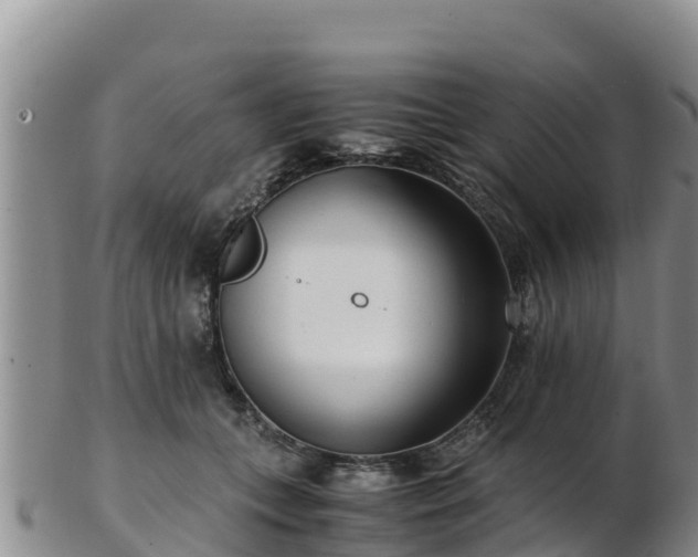 X0000103310559200809051547