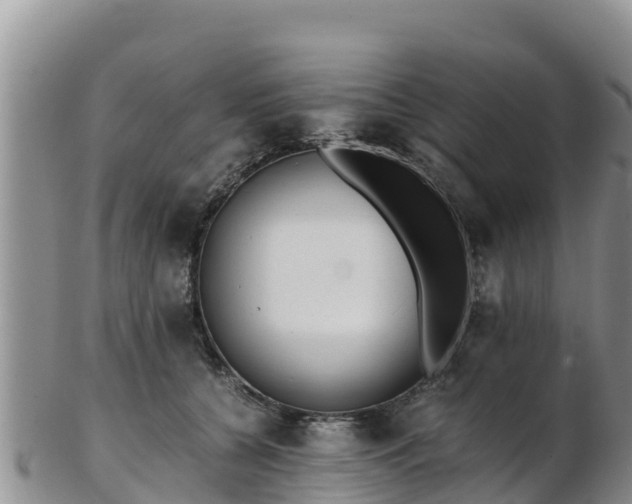 X0000103310560200809051547