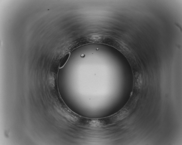 X0000103310562200809051547
