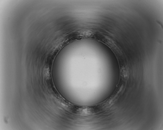 X0000103310564200809051547