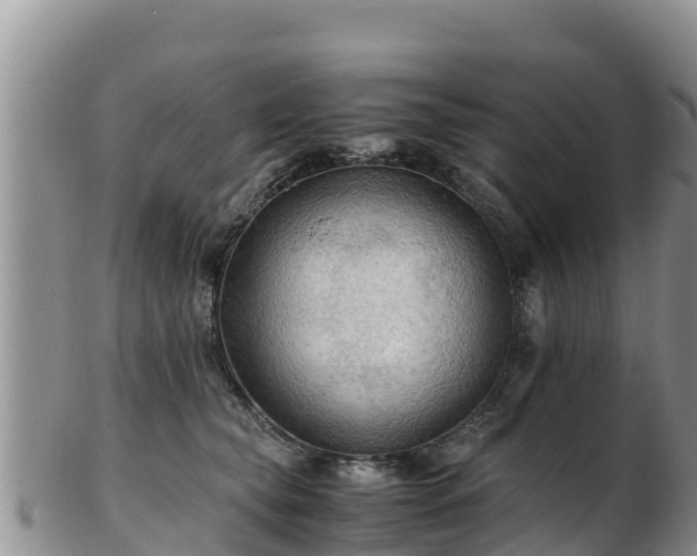 X0000103310565200809051547