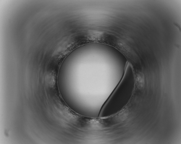 X0000103310566200809051547