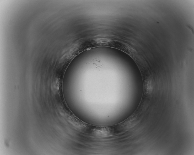 X0000103310567200809051547