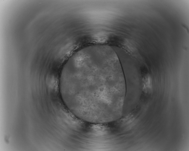 X0000103310568200809051547
