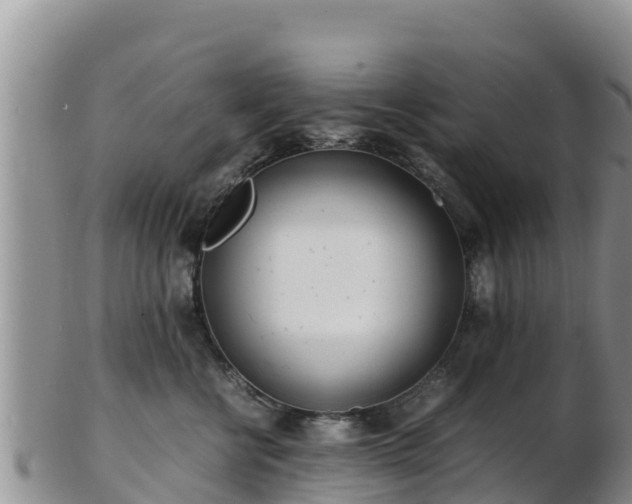 X0000103310570200809051547