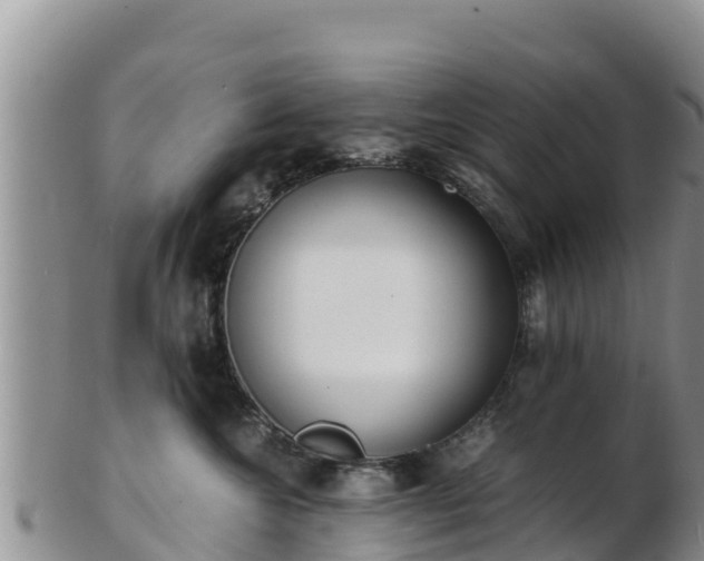 X0000103310572200809051547