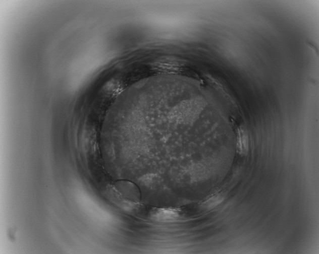 X0000103310573200809051547