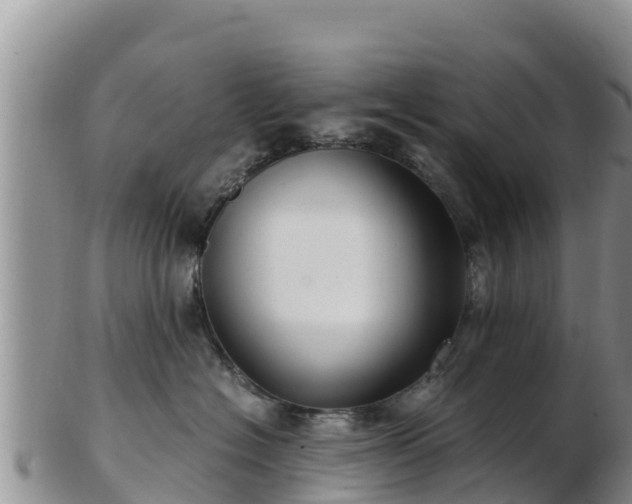 X0000103310574200809051547