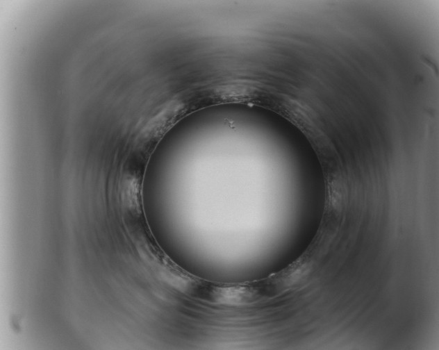X0000103310575200809051547