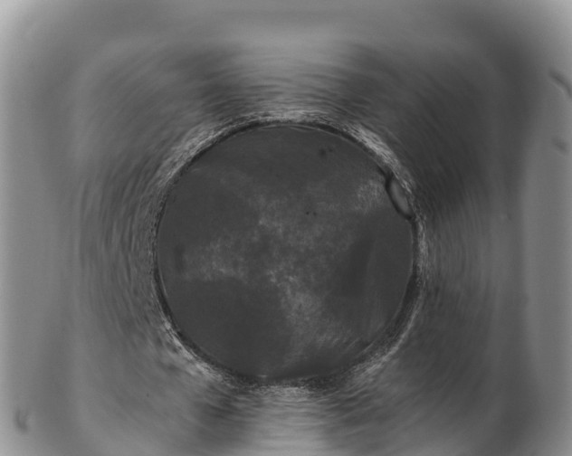 X0000103310577200809051547