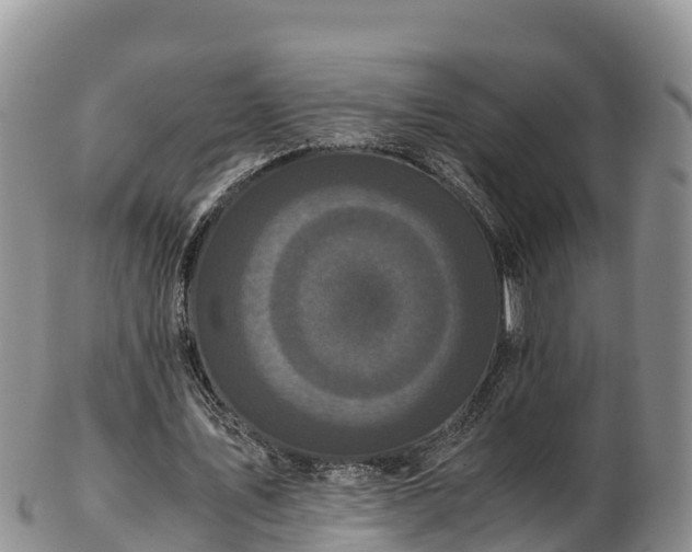 X0000103310579200809051547