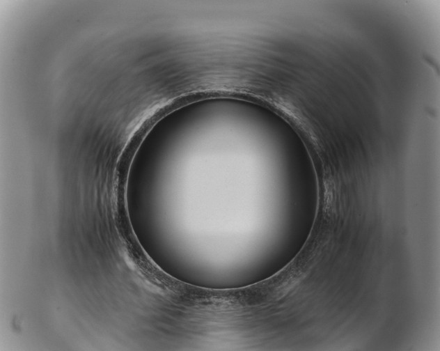 X0000103310580200809051547