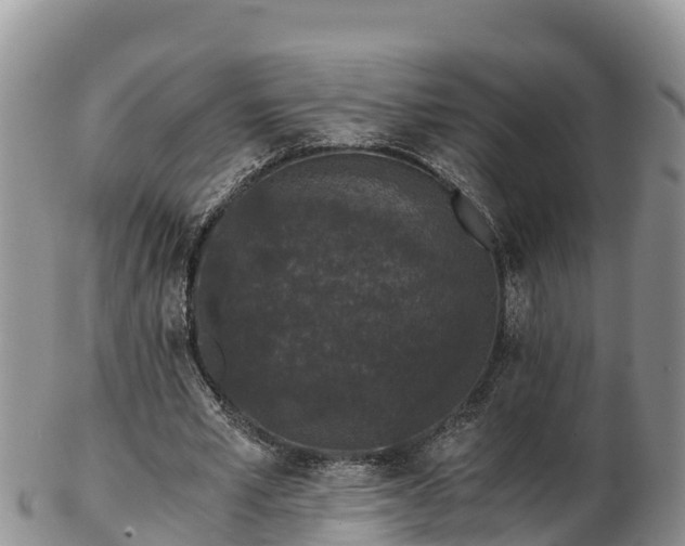 X0000103310581200809051547