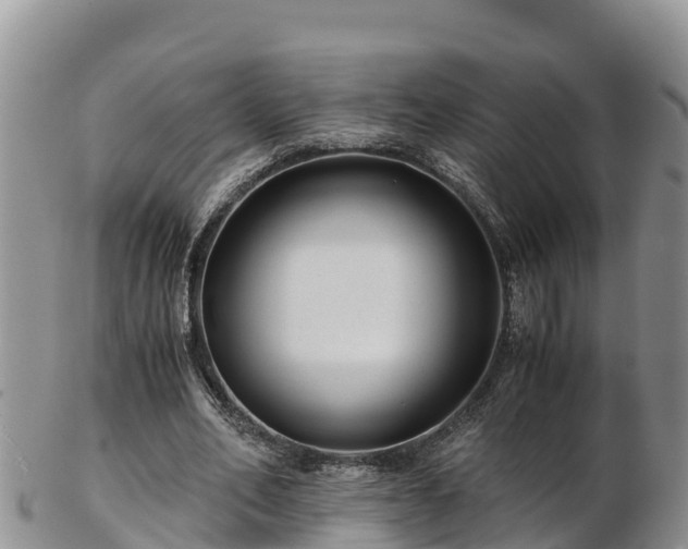 X0000103310582200809051547