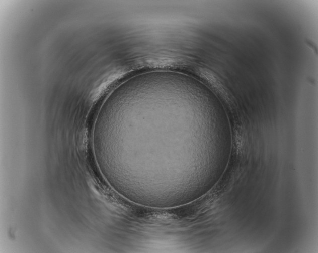 X0000103310583200809051547
