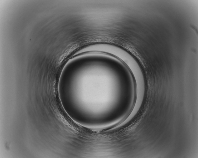 X0000103310585200809051546