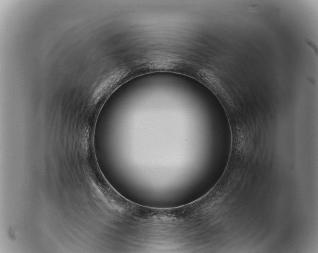 X0000103310586200809051546