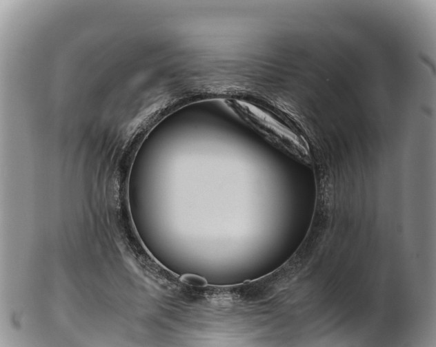 X0000103310587200809051546
