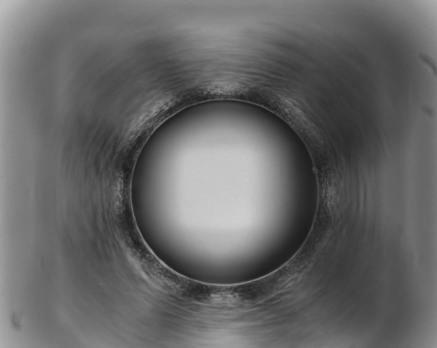 X0000103310591200809051546