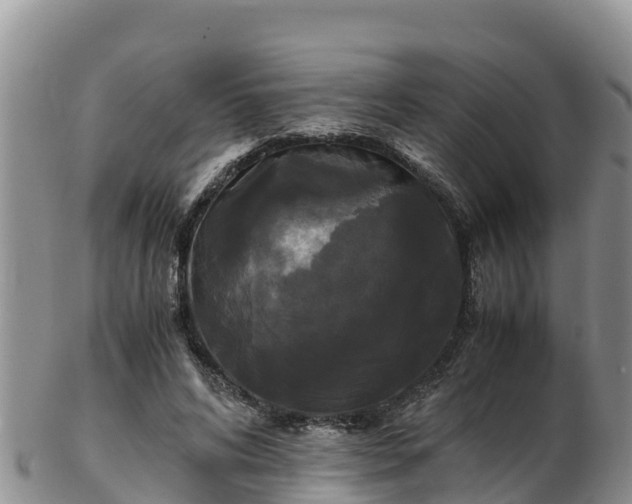 X0000103310592200809051546