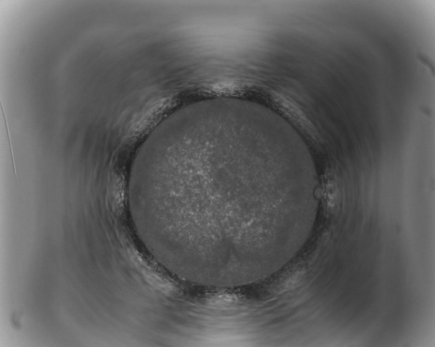 X0000103310593200809051546