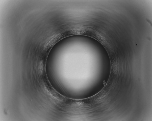 X0000103310594200809051546