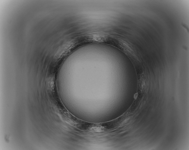 X0000103310595200809051546