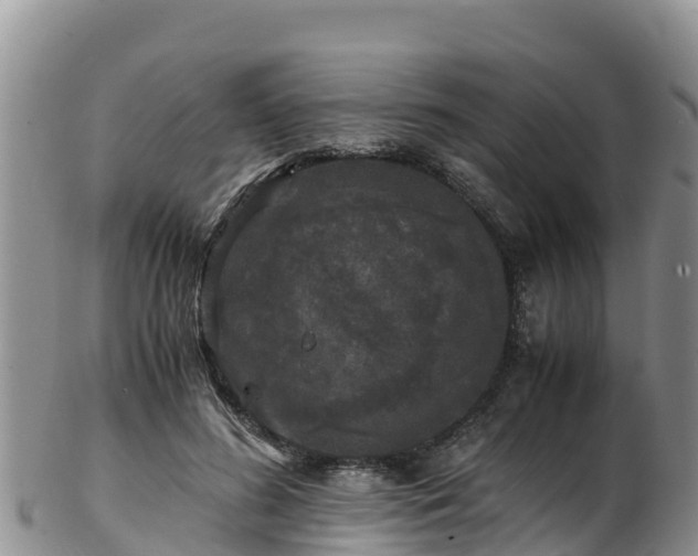 X0000103310596200809051546