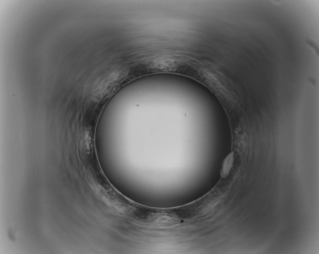 X0000103310597200809051546