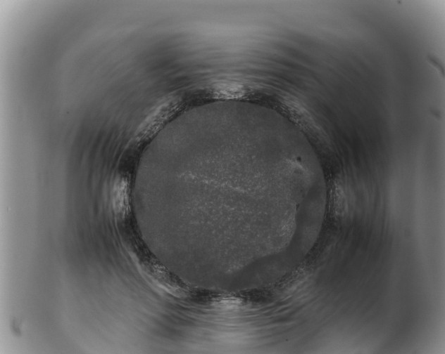X0000103310598200809051546