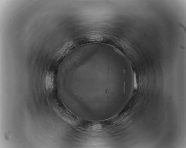 X0000103310600200809051546