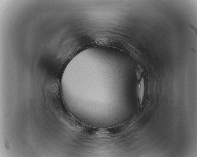 X0000103310603200809051546