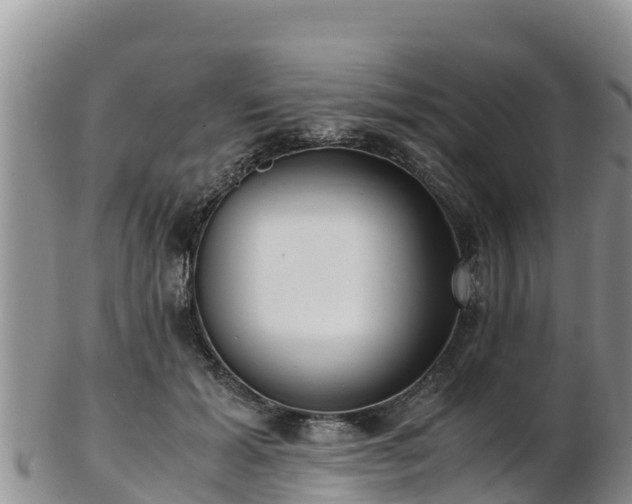 X0000103310605200809051546
