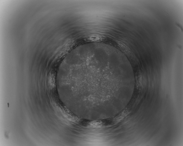 X0000103310606200809051546