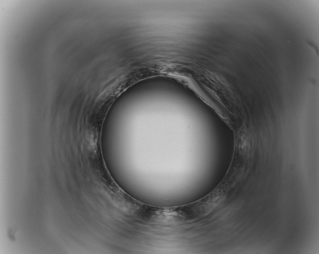 X0000103310607200809051546