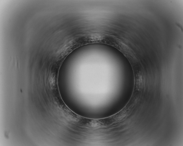 X0000103310608200809051546
