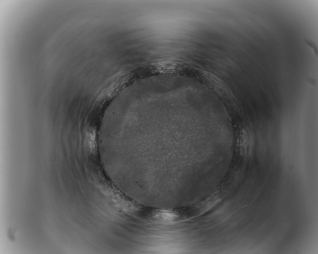 X0000103310610200809051546