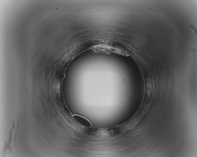 X0000103310613200809051546