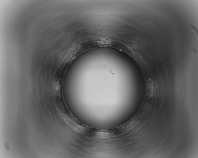 X0000103310614200809051546