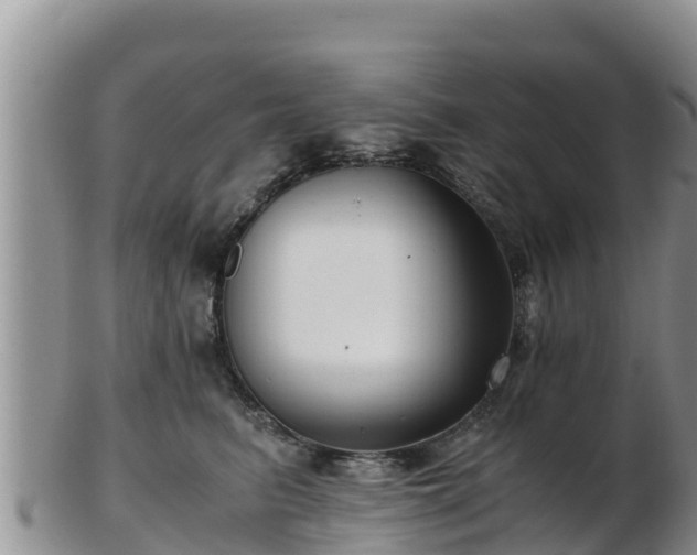 X0000103310615200809051546