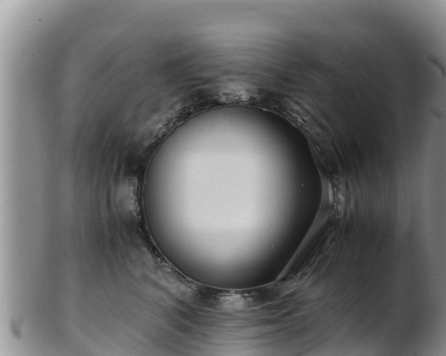 X0000103310616200809051546