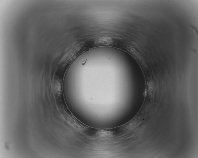 X0000103310617200809051546