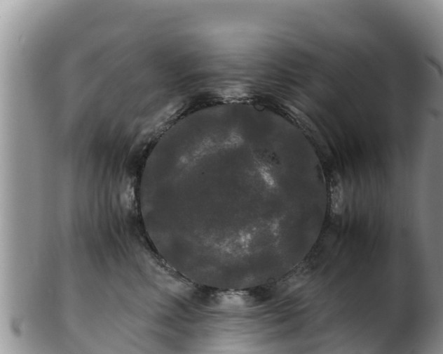 X0000103310618200809051546