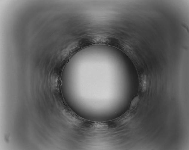 X0000103310619200809051546